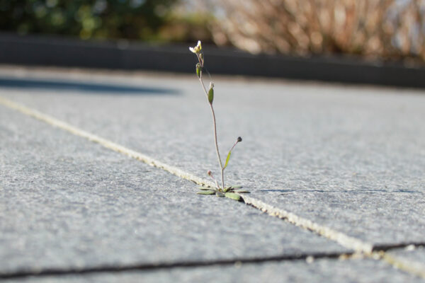 04d829141a5f1a3f80c1495f0695c697_f204