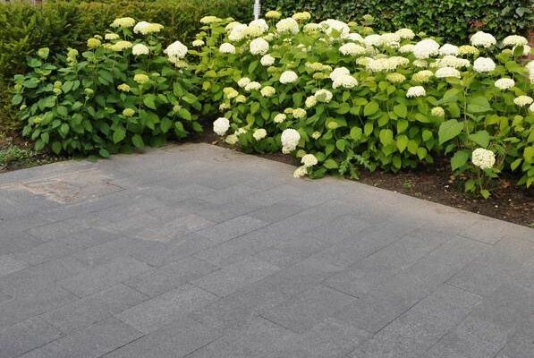 326184fb92bac40eb2efe5b5a2a79883_f236