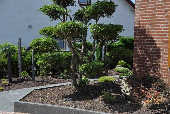 4d2ee9623707702386fff56794a2997e_f229