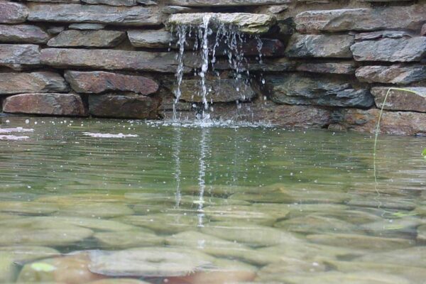 6406821d44399f945feb32eb3a0e2c0f_f589