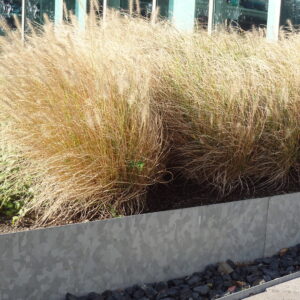 Galvaniseret stål bedkanter