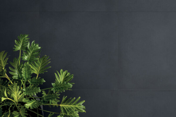 Elements-Design-Black_6534