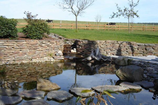 b529642e5843de574a58b2662a1a2ccc_f595