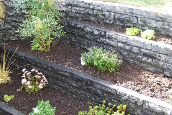 f1303ca9d1c540de971875b862df23d5_f238