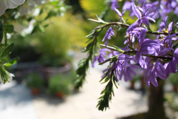 inspiration-til-uderum-showroom-1