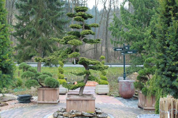 inspiration-til-uderum-showroom-7